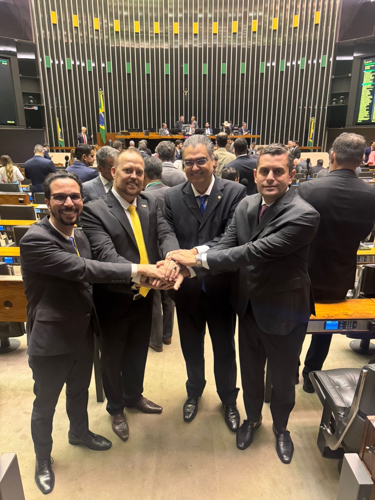 União de associações do setor solar garante aprovação da MP 1.300 no Congresso Nacional