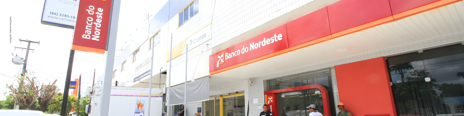 FNE Sol e o Desafio da Nacionalização: O Alerta do Movimento Solar Livre – Coalizão Solar